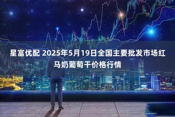 星富优配 2025年5月19日全国主要批发市场红马奶葡萄干价格行情