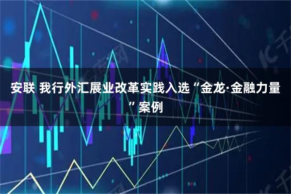 安联 我行外汇展业改革实践入选“金龙·金融力量”案例