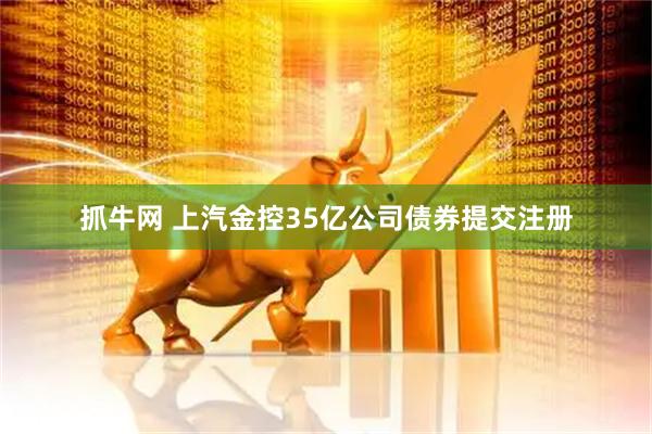 抓牛网 上汽金控35亿公司债券提交注册