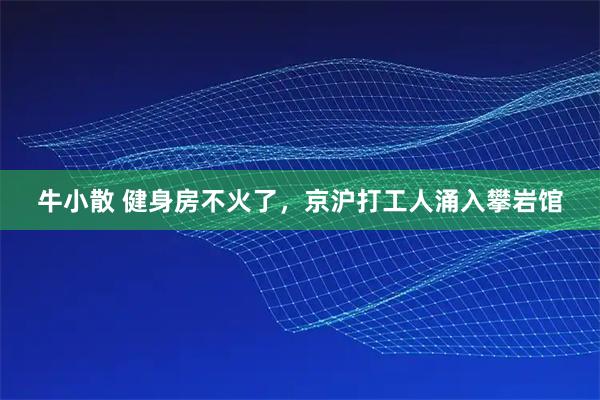 牛小散 健身房不火了，京沪打工人涌入攀岩馆
