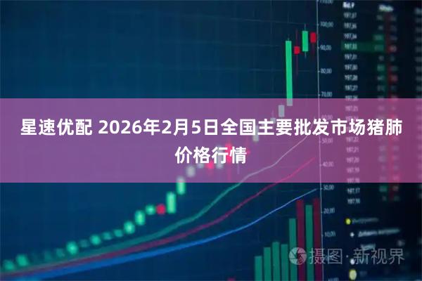 星速优配 2026年2月5日全国主要批发市场猪肺价格行情