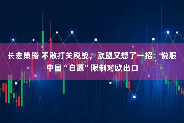 长宏策略 不敢打关税战，欧盟又想了一招：说服中国“自愿”限制对欧出口